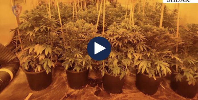 F635A082-E8EC-4758-B390-47BCA3908FA3