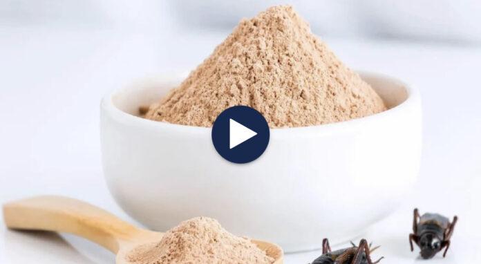 F6532C39-A294-4BE9-9067-07C18B19F7DC