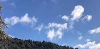 Parashikimi i motit, temperatura deri -4 gradë C