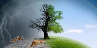 Video/ NDRYSHIMET KLIMATERIKE DHE BUJQËSIA