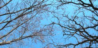 Dëborë në zonat malore dhe temperatura të ulëta, si parashikohet moti këtë fundjavë