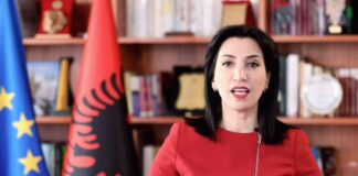 Kushi: Profesionistë të fushave të ndryshme, mundësi për të ushtruar mësuesinë