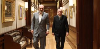 Tërmetet, Shqipëria dhuron 1 milion Euro për Turqinë