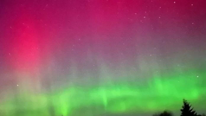 21C5AC23-4AA8-4057-94F6-DFDA7918F51E