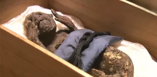 Zgjidhet më në fund misteri i ‘mumjes së shenjtë sirenë’ në Japoni (fotot)