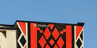 Muralet: jo vetëm ngjyra në qytet,zbukurojnë pallatet në unazën jugore të Elbasanit