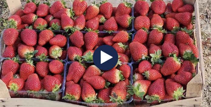 705E5EE0-200F-4A1C-91DA-F7EF0ABE9F00