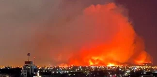 256 vatra”, shpërthejnë zjarret në Kili: Nuk i ndalojmë dot