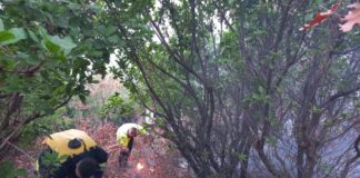 Zjarr në Gramsh, digjen dhjetëra hektarë pyje