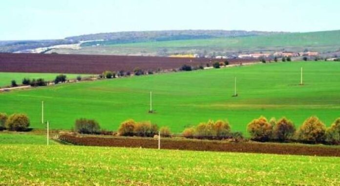 auto_prona1480667605