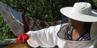 “Në fshat”, studentët eksperiencë unike në zonat rurale të vendit