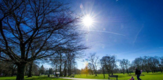 Temperatura deri në 21 gradë Celsius, parashikimi i motit për sot