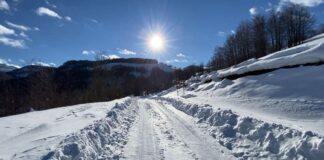 Diell dhe rritje temperaturash, parashikimi i motit