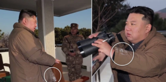 Eksperti: Doli me xhaketë me njolla, rojet e Kim Yong-un mund të përballen me ekzekutim