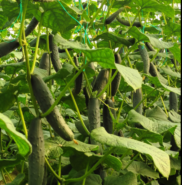 0DAD8973-45C6-4994-8377-C81CBA3DB138