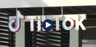 Në Tik Tok pa kontroll/ Nga videot me ofendime deri te reklamat e prostitucionit