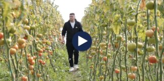 Shtimi i sipërfaqeve bujqësore, Ledian Nushi nga menaxher u bë fermer