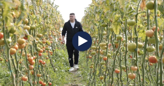 CC7838A0-CCF2-4A02-B382-8B95DE40622D