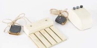 Çmim marramendës për mausin e parë që frymëzoi Steve Jobs