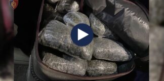 Do trafikonin 17 kg kanabis drejt Malit të Zi, arrestohen tre të rinj