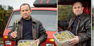 U kap me çaj mali, policia angleze arreston shqiptarin