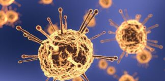 Covid-19/ Studimi: Një infeksion mbron si një vaksinë