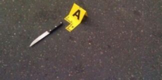 ELBASAN/ PLAGOS VETEN ME THIKË HUMB JETËN 33 VJEÇARI