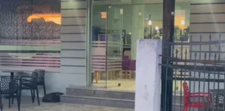 Vrasje e dyfishtë në Kavajë, si nisi sherri banal me thikë dhe armë