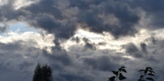 Parashikimi i motit/ Pasditja do shoqërohet me reshje shiu në këto zona