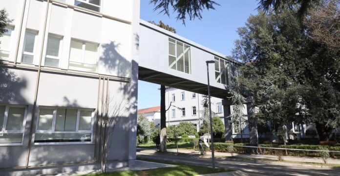 340624256_787499145738290_3051149658476896349_n