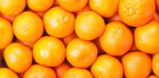 A funskionon vitamina C si një trajtim kundër kancerit?