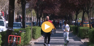 Alergjitë e pranverës/ Covid 19 dhe klima shtojnë agresivitetin e simptomave