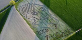 Artisti italian realizon autoportretin më të madh në botë të Pikasos me traktor