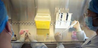 OBSH: Kina regjistron vdekjen e parë njerëzore në botë nga gripi i shpendëve H3N8