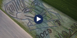 50 vjet pa Picasson, artisti “gdhend” portretin gjigand në përvjetorin e tij!