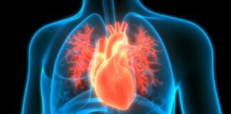 Njihuni me frutin që ul rrezikun e sulmit në zemër dhe sasia që duhet të konsumoni