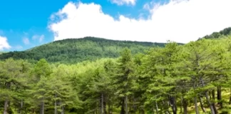 GJINARI TURISTIK, NIS INVESTIMI NË RRUGË