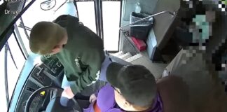 13 vjeçari ndalon autobusin, shpëton shokët e klasës: Shoferja humbi ndjenjat!