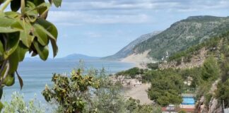 Sezoni turistik në Shëngjin, përgatitjet mes kërkesave për punëtorë