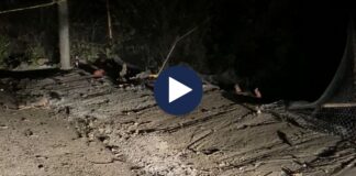 Aksident i rëndë/ Ndërron jetë 15-vjeçari, tre të plagosur! I mituri humbi kontrollin e makinës