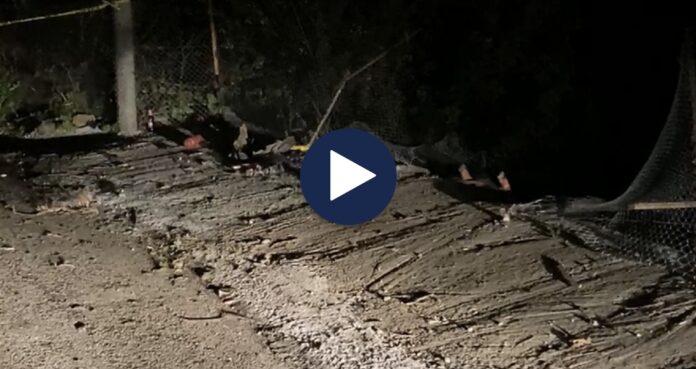 Screenshot_20230420_103419_Chrome