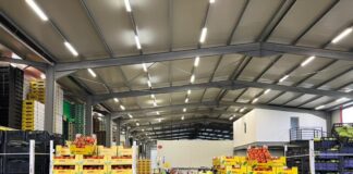 Rama: Shifër rekord eksportesh në vitin 2022 falë njerëzve të punës