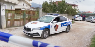 Serë për kultivimin e lëndëve narkotike! Gjenden 220 bimë kanabisi, në pranga 58-vjeçari