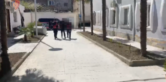 Bashkautor i tetë vjedhjeve në qytetin, vihet në pranga 18-vjeçari