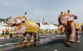 Mbreti Karl i III: Nga lëkurat e luanit, te karriget e shenjta dhe ritualet e kurorëzimit nga e gjithë bota