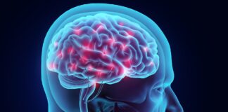 Filloi fundi i Alzheimerit?