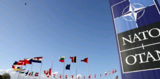 Vendet nordike mbështesin Ukrainën për anëtarësimin në NATO