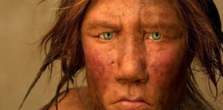 Jeta misterioze e Neandertalit