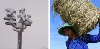 44 gradë në Vietnam, borë në Australi/ “Çmendet” moti, rekorde të reja