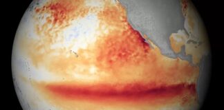 Ngrohja ekstreme globale/ Deri në vitin 2027 mund të thyhet kufiri kryesor prej 1.5 gradë celsius